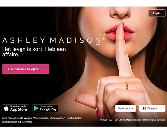 Ashley Madison Logo